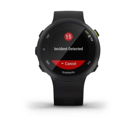 Спортивные часы Garmin Forerunner 45 Black (010-02156-15)
