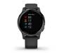 Смарт-часы Garmin vivoactive 4S Black/Slate (010-02172-13)