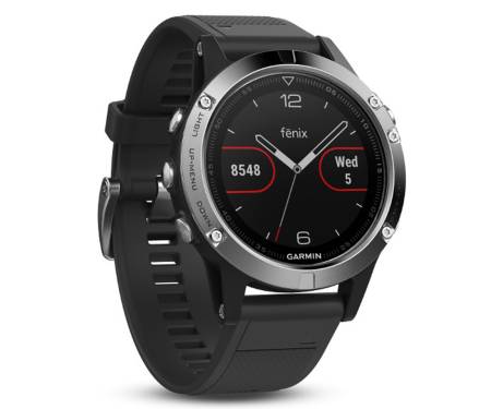 Смарт-часы Garmin fenix 5 Black Silver with Black Band Silver (010-01688-03)
