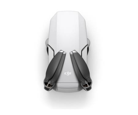 DJI Mavic Mini (CP.MA.00000121.01)