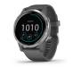 Смарт-часы Garmin vivoactive 4 Shadow Gray/Silver (010-02174-03)
