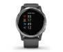 Смарт-часы Garmin vivoactive 4 Shadow Gray/Silver (010-02174-03)