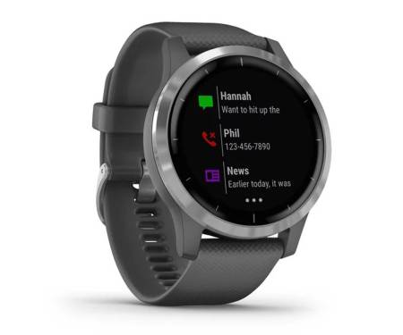 Смарт-часы Garmin vivoactive 4 Shadow Gray/Silver (010-02174-03)