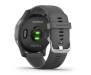 Смарт-часы Garmin vivoactive 4 Shadow Gray/Silver (010-02174-03)