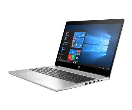 Ноутбук HP ProBook 450 G6 (4SZ45AV)