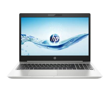 Ноутбук HP ProBook 450 G6 Silver (6BN80EA)