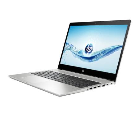 Ноутбук HP ProBook 450 G6 Silver (6BN80EA)