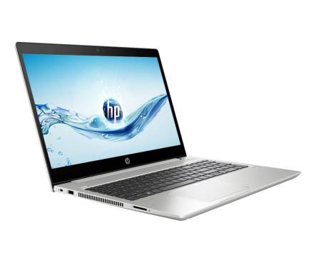 Ноутбук HP ProBook 450 G6 Silver (6BN80EA)
