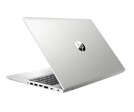 Ноутбук HP ProBook 450 G6 Silver (6BN80EA)
