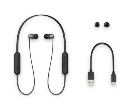 Наушники с микрофоном Sony WI-C310 Black