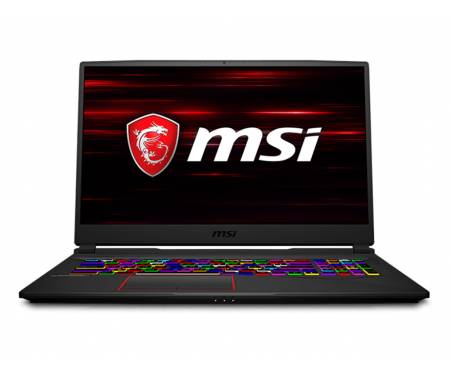 Ноутбук MSI GE75 Raider 9SE (GE759SE-287US)
