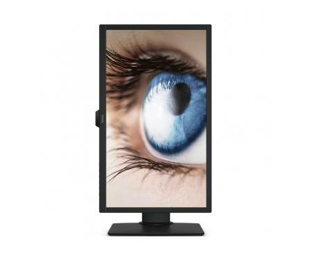 Монитор BenQ BL2483T Black (9H.LHYLB.QBE)