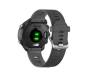 Спортивные часы Garmin Forerunner 245 Slate Grey (010-02120-44)