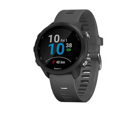 Спортивные часы Garmin Forerunner 245 Slate Grey (010-02120-44)