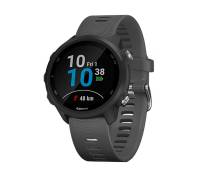 Спортивные часы Garmin Forerunner 245 Slate Grey (010-02120-44)