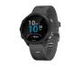 Спортивные часы Garmin Forerunner 245 Slate Grey (010-02120-44)