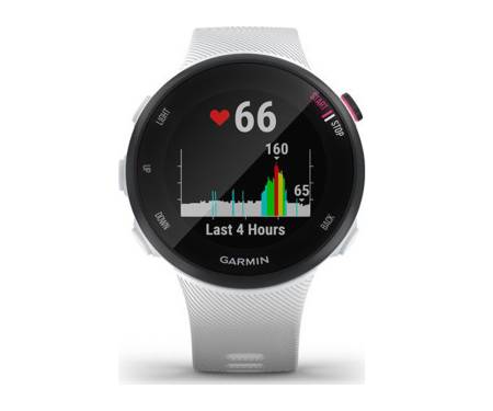 Спортивные часы Garmin Forerunner 45s White (010-02156-00)