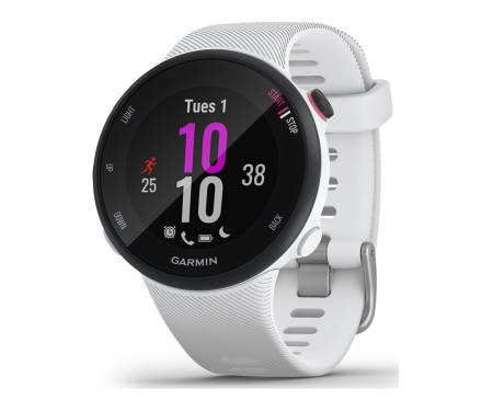 Спортивные часы Garmin Forerunner 45s White (010-02156-00)