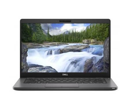 Ноутбук Dell Latitude 5300 (N016L530013ERC_W10) 0