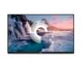 Монитор Dell P2219HWOS (210-APWS) 0