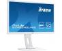 Монитор iiyama B2483HSU-W5 1