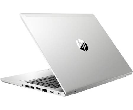 Ноутбук HP ProBook 445R G6 (7HW15AV_V1) FullHD Silver