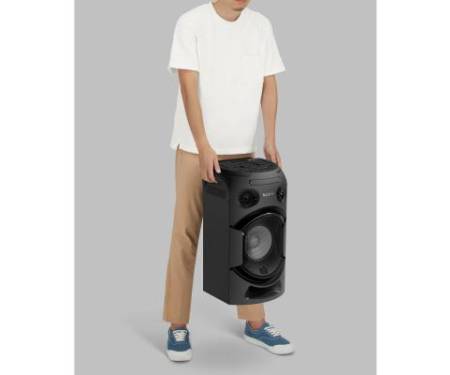 Акустическая система SONY MHC-V21D Black (MHCV21D.RU1)