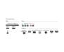 Телевизор PHILIPS 55PUS6754/12