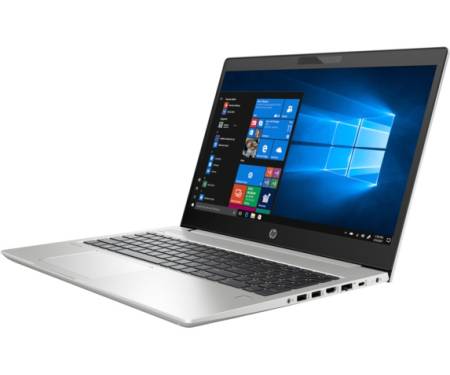 Ноутбук HP ProBook 450 G6 (4TC94AV_V11)