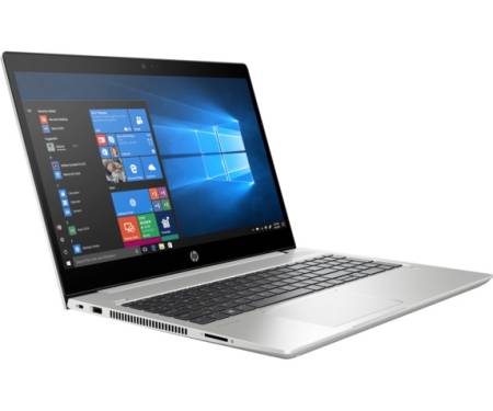 Ноутбук HP ProBook 450 G6 (4TC94AV_V11)