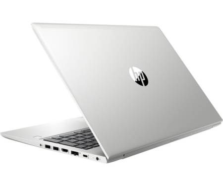 Ноутбук HP ProBook 450 G6 (4TC94AV_V11)