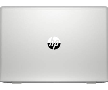 Ноутбук HP ProBook 450 G6 (4TC94AV_V11)