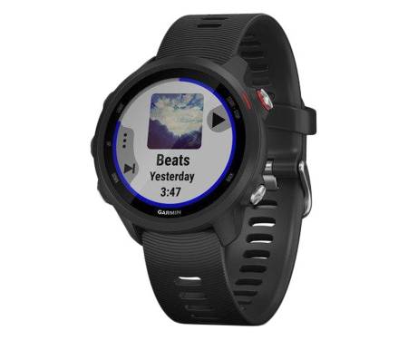 Спортивные часы Garmin Forerunner 245 Music Black (010-02120-A0) 1