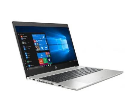 Ноутбук HP Probook 450 G6 (6HL99EA)