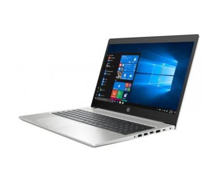 Ноутбук HP Probook 450 G6 (6HL99EA)