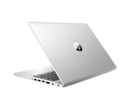 Ноутбук HP Probook 450 G6 (6HL99EA)