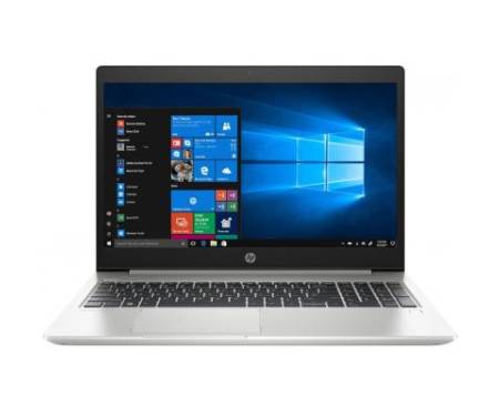 Ноутбук HP Probook 450 G6 (6HL99EA)