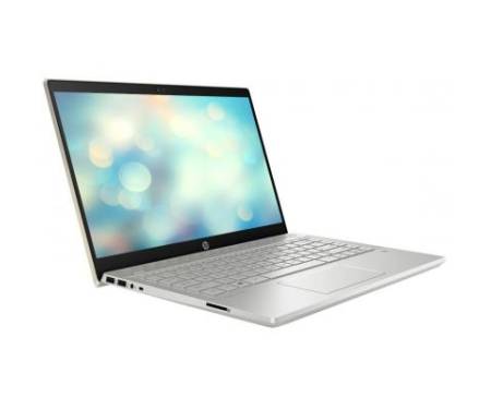 Ноутбук HP Pavilion 14-ce3020ur (9FF77EA)