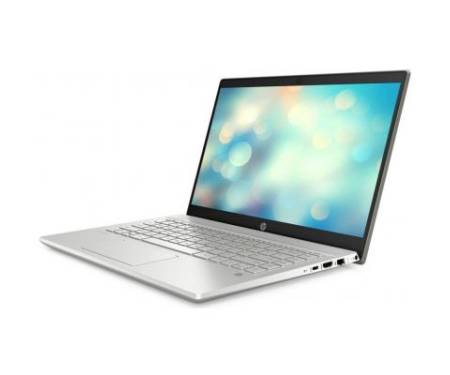 Ноутбук HP Pavilion 14-ce3020ur (9FF77EA)