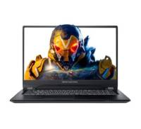 Ноутбук Dream Machines RS2080Q-17 (RS2080Q-17UA28)