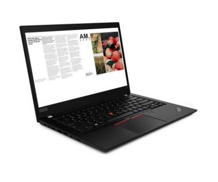 Ноутбук Lenovo ThinkPad T490 (20N20009RT)
