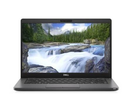 Ноутбук Dell Latitude 5300 (N116L530013ERC_W10)