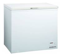 Delfa DCFG-300