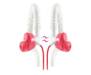 JBL Yurbuds Focus 300 Pink/White (YBWNFOCU03KNW)