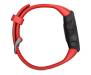Garmin Forerunner 45 Lava Red (010-02156-06)