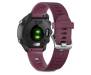 Спортивные часы Garmin Forerunner 245 Berry (010-02120-11)