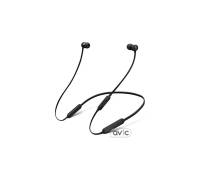 Beats by Dr. Dre BeatsX Earphones Black (MLYE2)