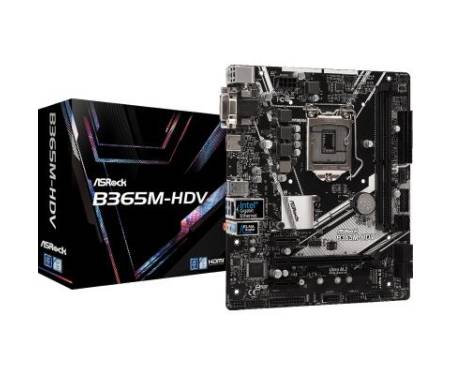 Материнская плата ASRock B365M-HDV