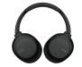Наушники с микрофоном Sony WH-CH710N Black