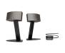 Акустическая система Bose Companion 50 Silver (373511-2100)